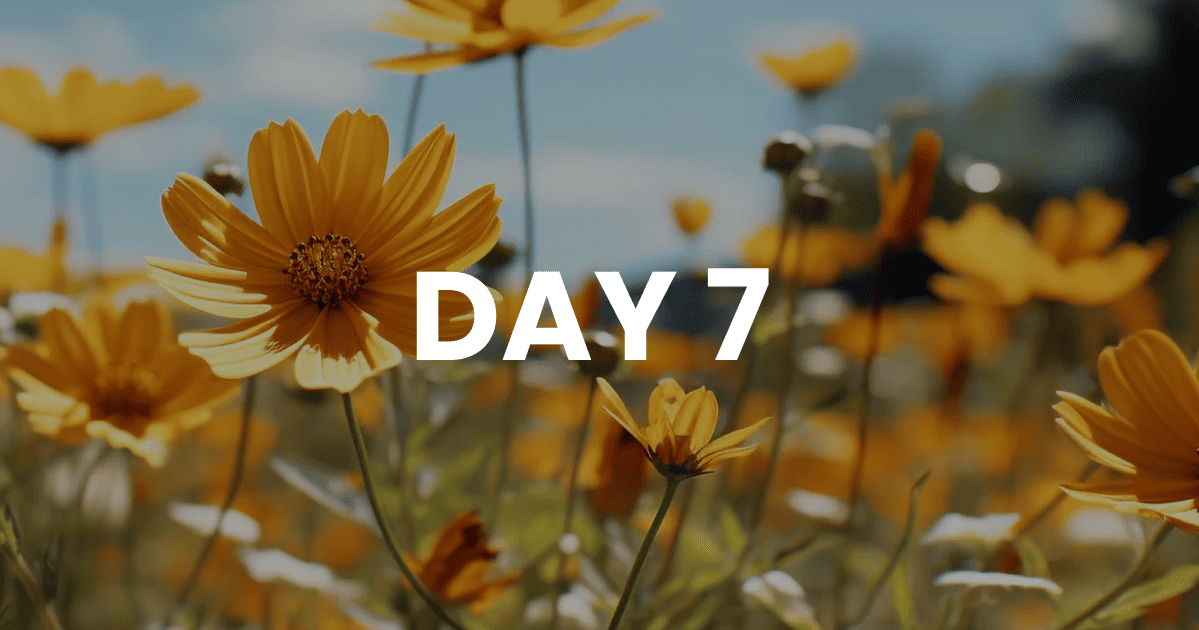 The Myths We Believe