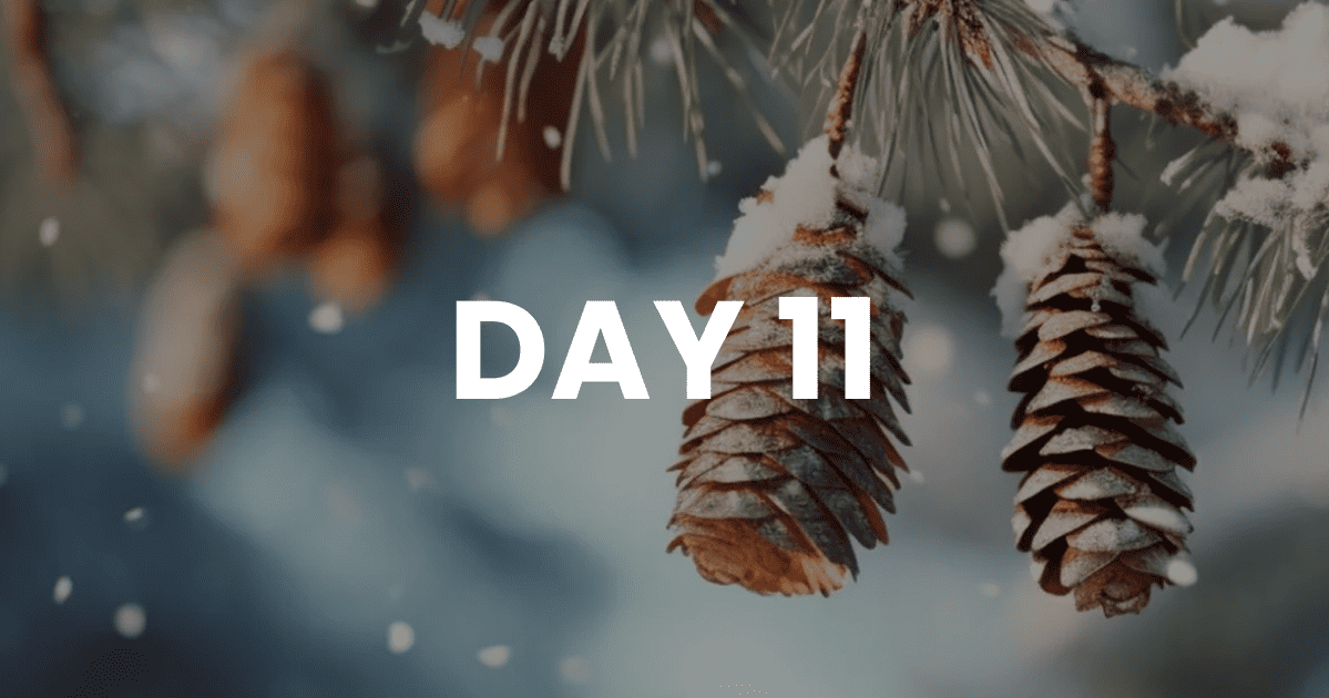 Triggers Are Your Opportunity