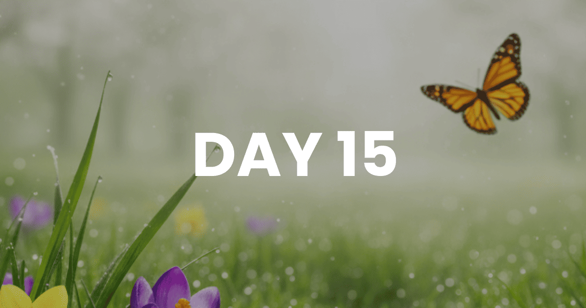 No One Condemns a Baby