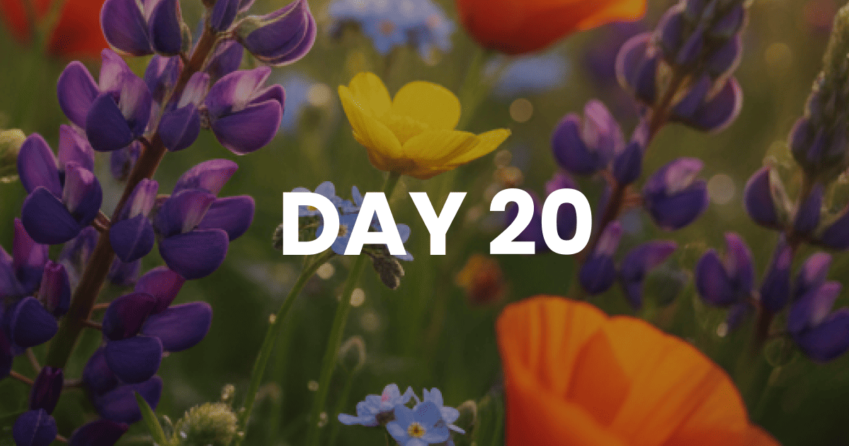 Thankfulness Will Save You