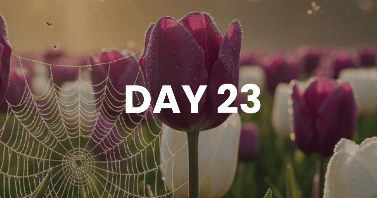 How Could I Do This to Him?