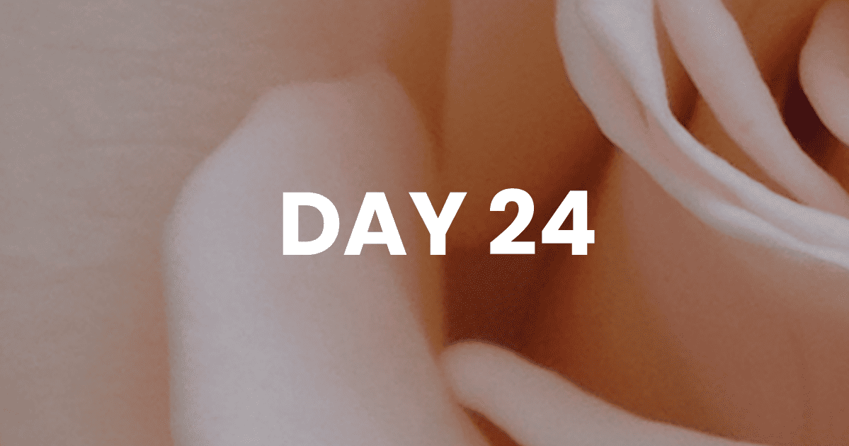 Meditation(More Scriptures)